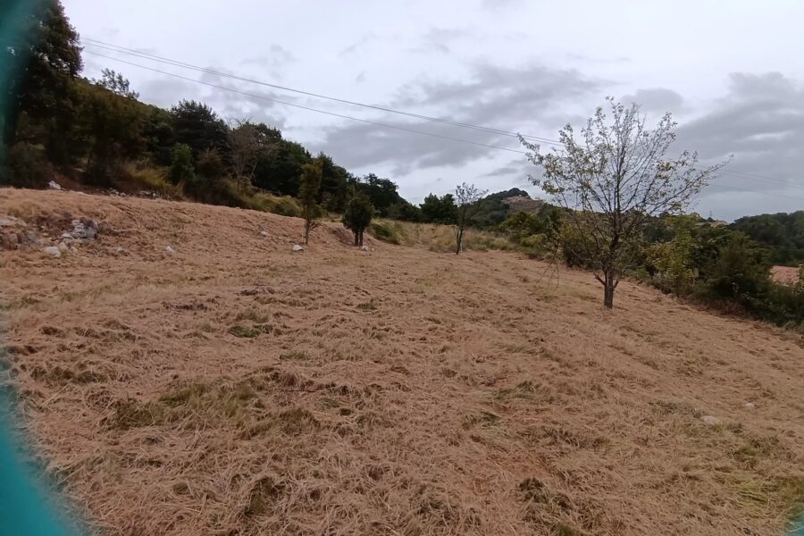 Terrain à vendre à Coursegoules — Vue nature — photo 10