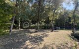 Maison à vendre à Montélimar — Vue nature — photo 17