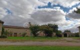 Maison à vendre à Melle — Vue dégagée — photo 20