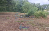 Terrain à vendre à Pougnadoresse — photo 8