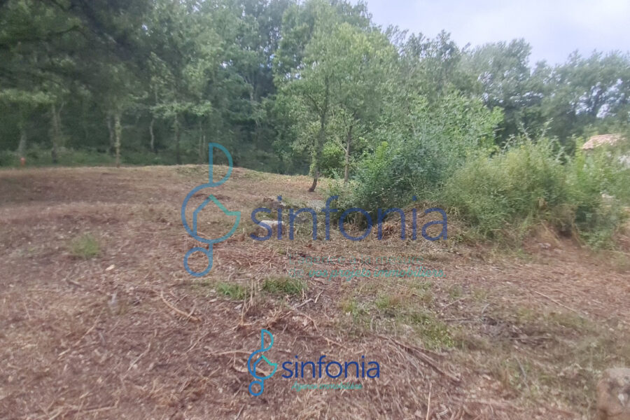 Terrain à vendre à Pougnadoresse — photo 8
