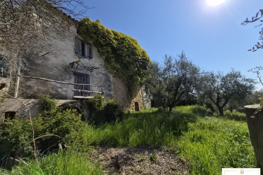 Maison à vendre à Saint-Cézaire-sur-Siagne — Vue nature — photo 4