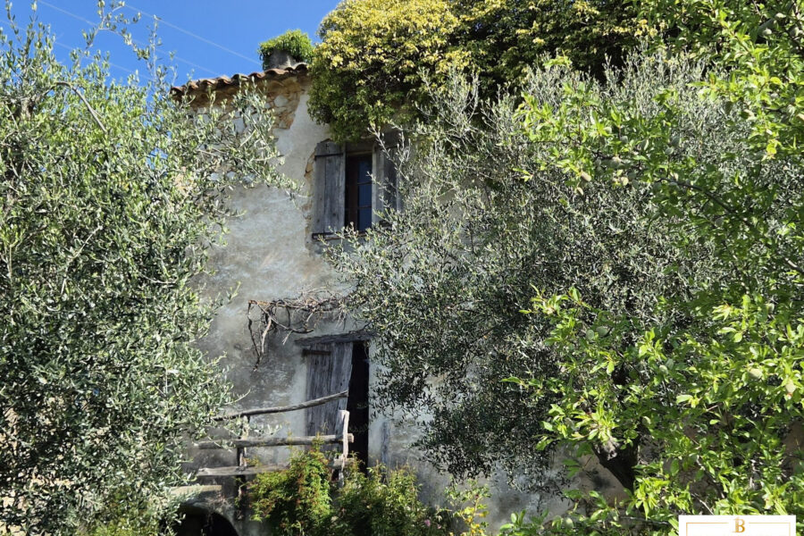 Maison à vendre à Saint-Cézaire-sur-Siagne — Vue nature — photo 6