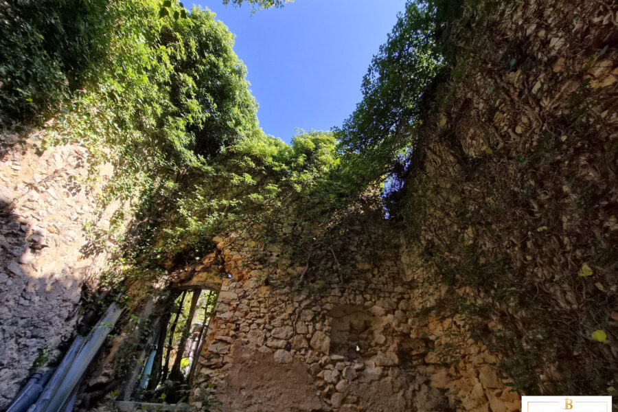 Maison à vendre à Saint-Cézaire-sur-Siagne — Vue nature — photo 7