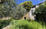 Maison à vendre à Saint-Cézaire-sur-Siagne — Vue nature — photo 5