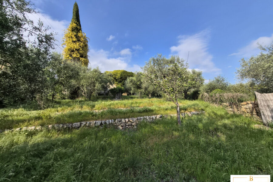 Maison à vendre à Saint-Cézaire-sur-Siagne — Vue nature — photo 8