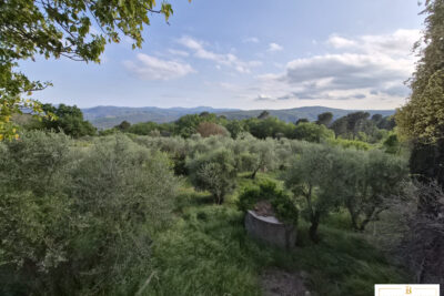 Maison à vendre à Saint-Cézaire-sur-Siagne