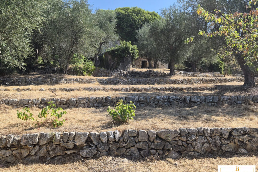 Maison à vendre à Saint-Cézaire-sur-Siagne — Vue nature — photo 2