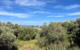 Terrain à vendre à La Ciotat — Vue mer — photo 3
