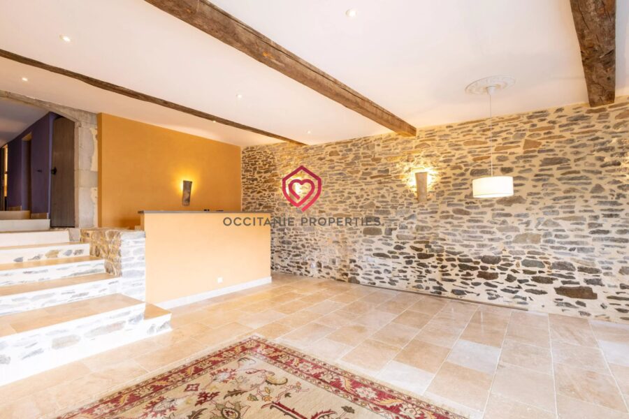 Maison à vendre à La Livinière — Vue nature — photo 9