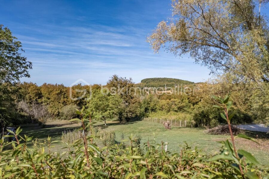 Maison à vendre à Parigny-les-Vaux — Vue nature — photo 18