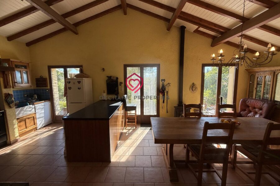 Maison à vendre à Mirepoix — Vue montagne — photo 26