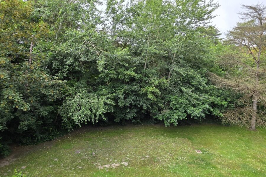 Appartement à vendre à Le Touquet-Paris-Plage — Vue nature — photo 1