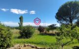 Maison à vendre à Alzonne — Vue montagne — photo 10