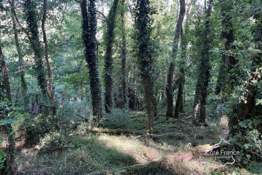 Maison à vendre à Clamecy — Vue nature — photo 19