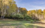 Maison à vendre à Parigny-les-Vaux — Vue nature — photo 19