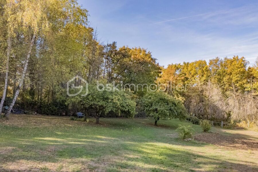 Maison à vendre à Parigny-les-Vaux — Vue nature — photo 19