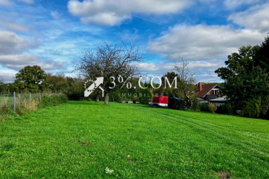 Maison à vendre à Walschbronn — Vue nature — photo 19