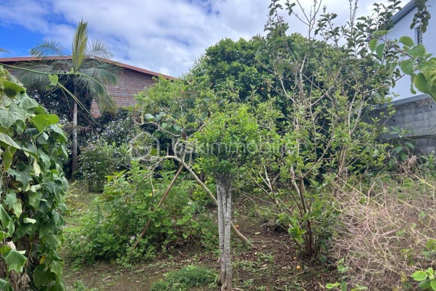 Maison à vendre à Les Avirons — Vue mer — photo 19