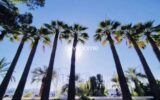 Appartement à vendre à Cannes — Vue sur la ville — photo 12