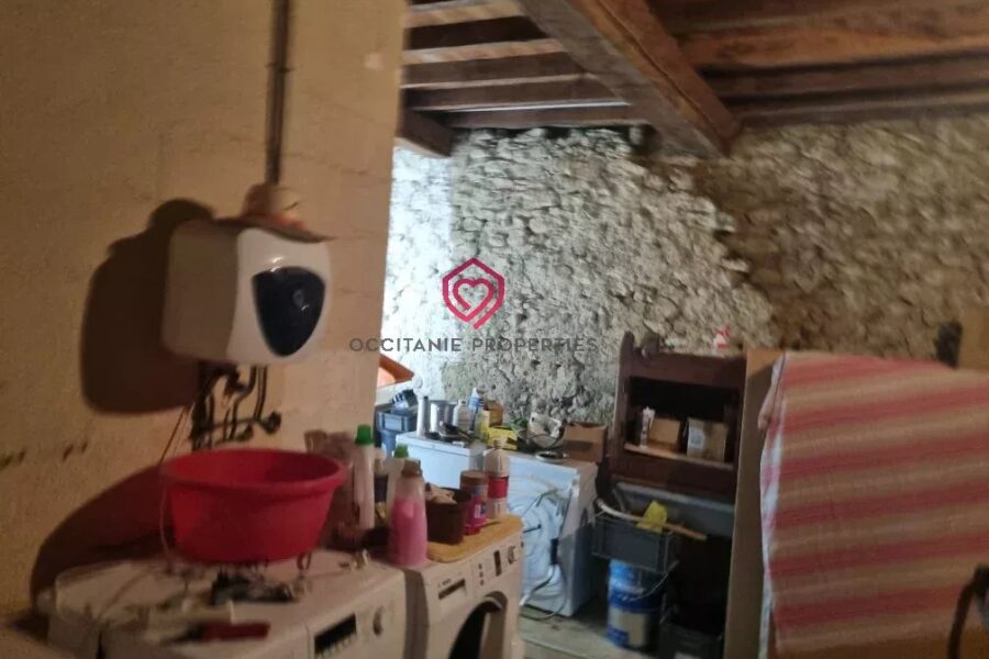 Maison à vendre à Mirande — Vue nature — photo 23