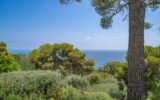 Appartement à vendre à Cap-d&rsquo;Ail — Vue mer — photo 8