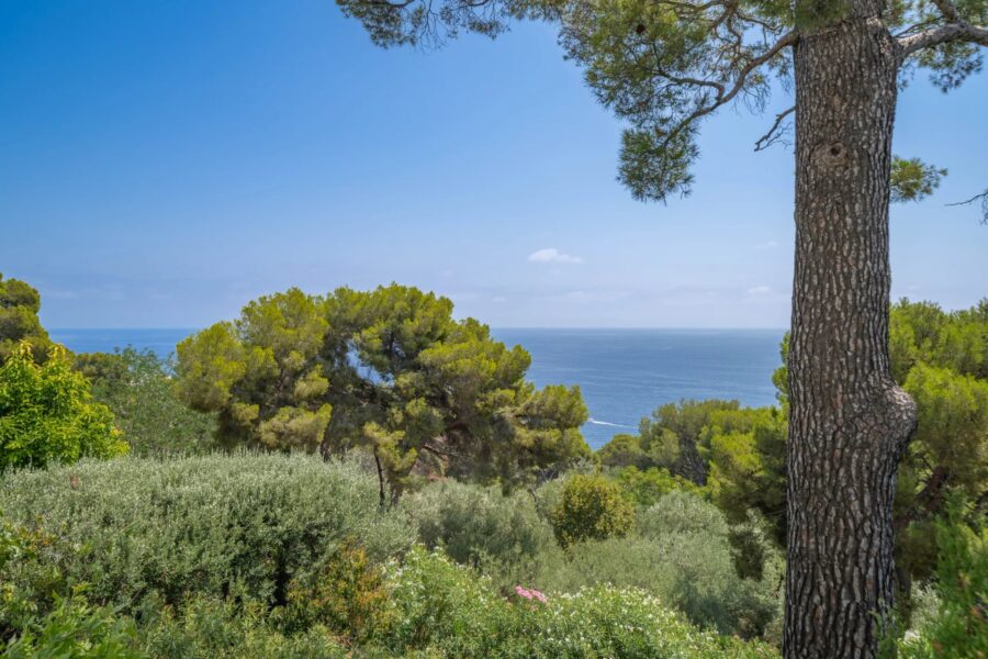 Appartement à vendre à Cap-d&rsquo;Ail — Vue mer — photo 8