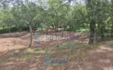 Terrain à vendre à Pougnadoresse — photo 12