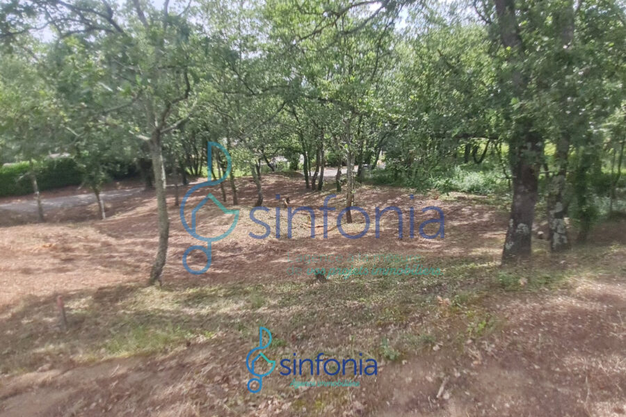 Terrain à vendre à Pougnadoresse — photo 12
