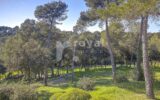 Maison à vendre à Mougins — Vue nature — photo 17
