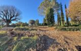 Terrain à vendre à Valbonne — Vue nature — photo 2