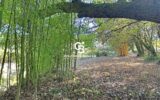 Maison à vendre à Marsilly — Vue nature — photo 13
