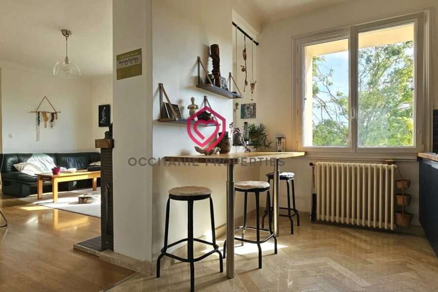 Maison à vendre à Carla-Bayle — Vue montagne — photo 11