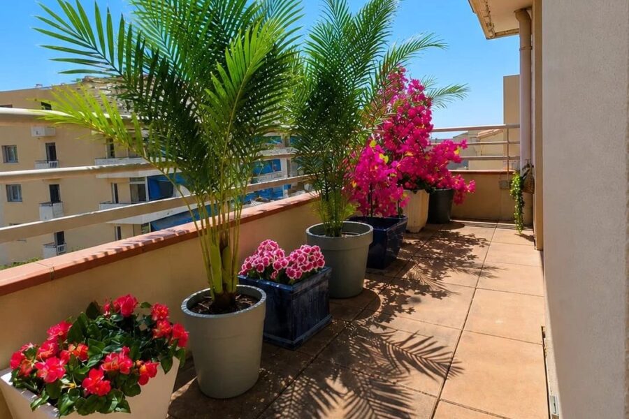 Appartement à vendre à Hyères — Vue parc & jardin — photo 17