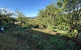 Appartement à vendre à Bourbonne-les-Bains — Vue nature — photo 27