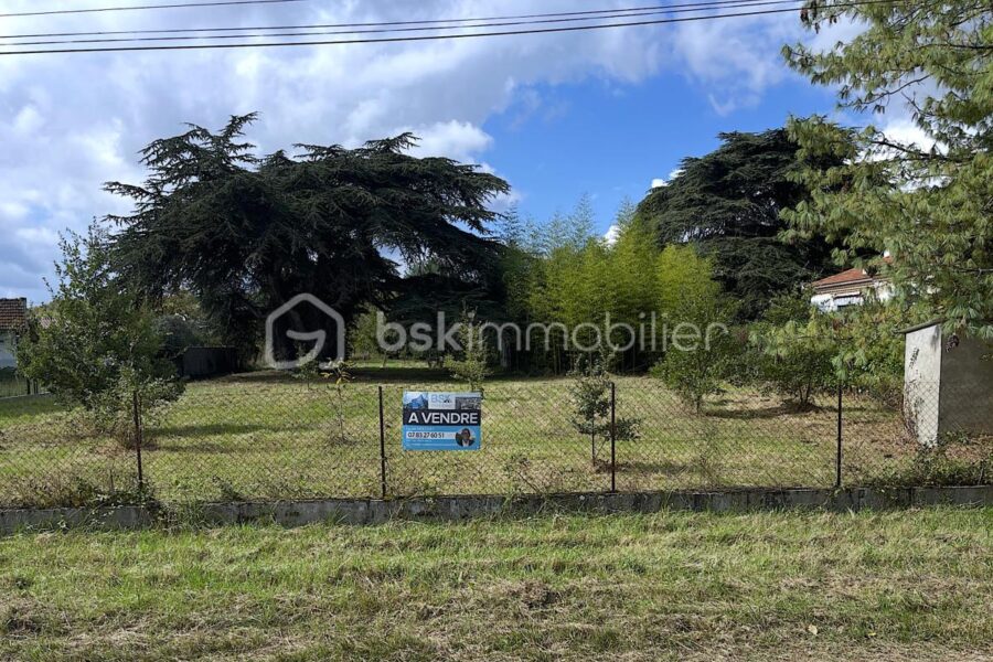 Terrain à vendre à Saint-Sulpice-la-Pointe — Vue dégagée — photo 3