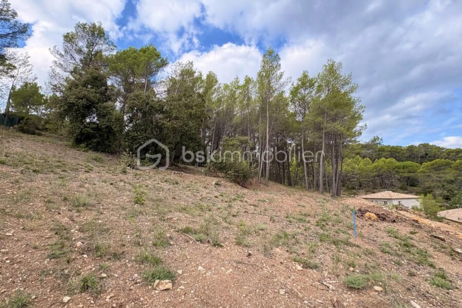 Terrain à vendre à Taradeau — Vue nature — photo 3