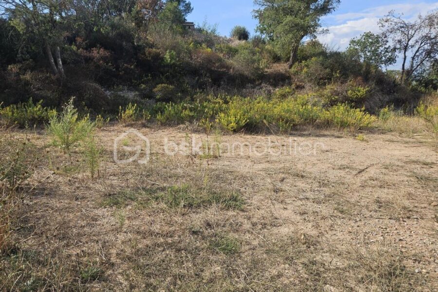 Terrain à vendre à Vidauban — Vue nature — photo 3