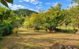 Maison à vendre à Courniou — Vue nature — photo 1