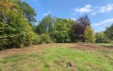 Terrain à vendre à Bois-le-Roi — Vue nature — photo 2