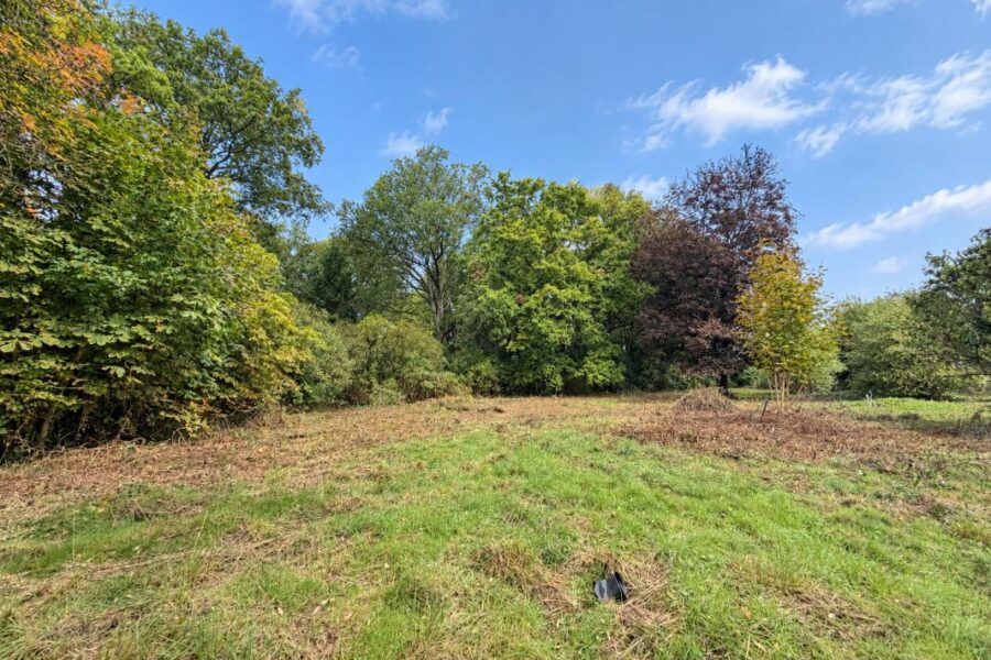 Terrain à vendre à Bois-le-Roi — Vue nature — photo 2