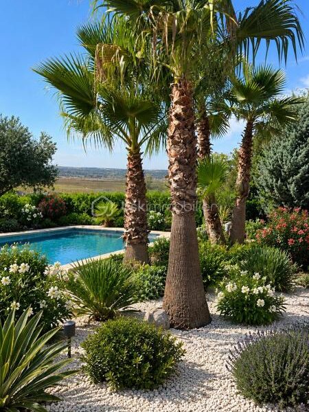 Maison à vendre à Thézan-lès-Béziers — Vue nature — photo 3