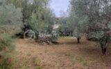 Maison à vendre à Besse-sur-Issole — Vue dégagée — photo 1