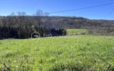 Terrain à vendre à La Bachellerie — Vue nature — photo 2