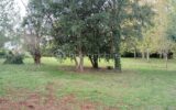 Terrain à vendre à Carmaux — Vue dégagée — photo 2
