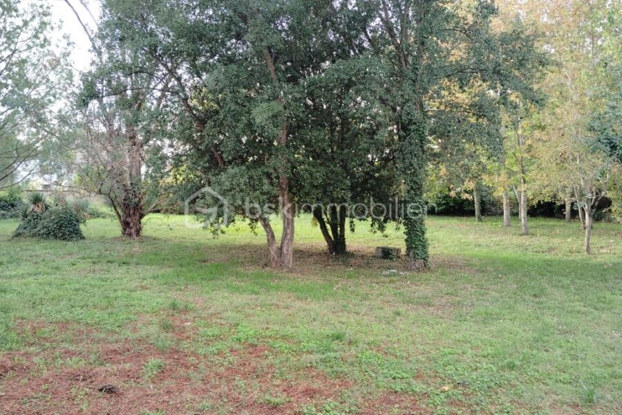Terrain à vendre à Carmaux — Vue dégagée — photo 2