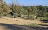 Terrain à vendre à Roquebrune-sur-Argens — Vue nature — photo 1