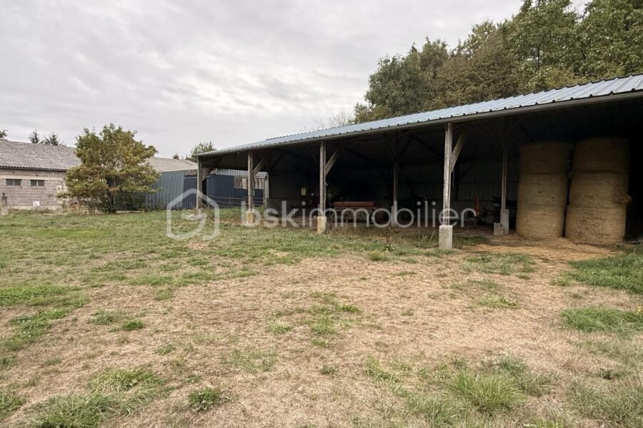Maison à vendre à Briouze — Vue dégagée — photo 5