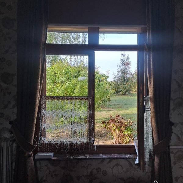 Maison à vendre à La Neuville-lès-Dorengt — Vue nature — photo 20