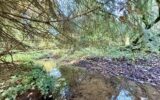 Maison à vendre à Béruges — Vue nature — photo 20